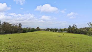 1423  Olinda Rd , Makawao/Olinda/Haliimaile home - photo 4 of 50