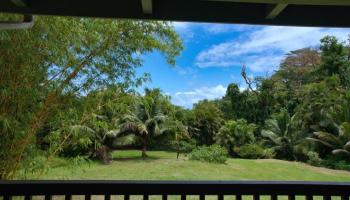 143  Alalele Pl Hana Agricultural Park, Hana home - photo 2 of 50