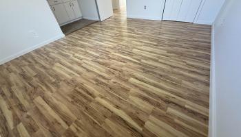 1433  Hiahia Pl , Wailuku home - photo 6 of 17