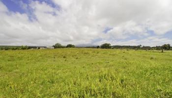 1440 Kaupakalua Rd  Haiku, Hi vacant land for sale - photo 2 of 19