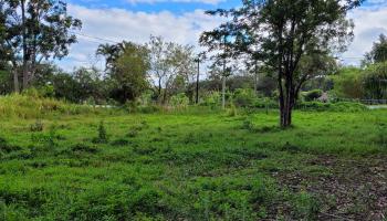 1448 Kuiaha Rd  Haiku, Hi vacant land for sale - photo 2 of 30