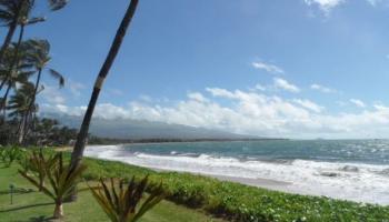 Sugar Beach Resort condo # 524, Kihei, Hawaii - photo 4 of 15