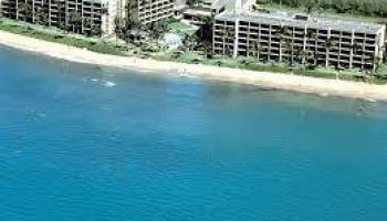 Sugar Beach Resort condo # 111, Kihei, Hawaii - photo 3 of 22