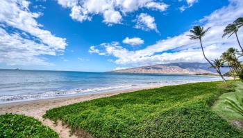 Sugar Beach Resort condo # 115, Kihei, Hawaii - photo 2 of 50