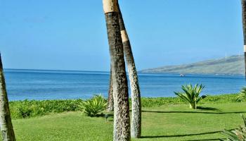Sugar Beach Resort condo # 136, Kihei, Hawaii - photo 3 of 17