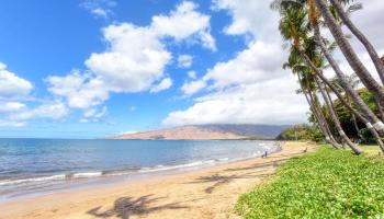 Sugar Beach Resort condo # 203, Kihei, Hawaii - photo 5 of 28