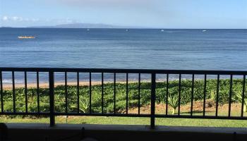 Sugar Beach Resort condo # 236, Kihei, Hawaii - photo 6 of 30