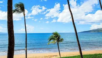 Sugar Beach Resort condo # 321, Kihei, Hawaii - photo 2 of 26