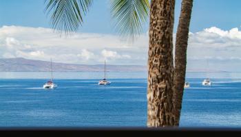 Sugar Beach Resort condo # 430, Kihei, Hawaii - photo 3 of 43