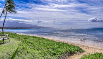 Sugar Beach Resort condo # 431, Kihei, Hawaii - photo 2 of 24