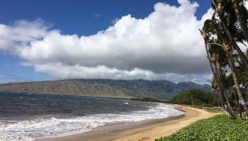 Sugar Beach Resort condo # 535, Kihei, Hawaii - photo 2 of 29