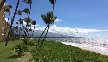Sugar Beach Resort condo # 535, Kihei, Hawaii - photo 5 of 29
