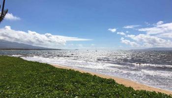 Sugar Beach Resort condo # 535, Kihei, Hawaii - photo 6 of 29