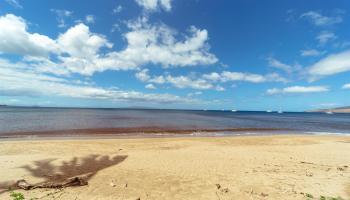 Sugar Beach Resort condo # PH06, Kihei, Hawaii - photo 6 of 45