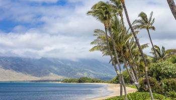 Sugar Beach Resort condo # 240, Kihei, Hawaii - photo 2 of 30