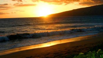 Sugar Beach Resort condo # 240, Kihei, Hawaii - photo 3 of 30