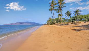 Maui Gardens condo # C206, Kihei, Hawaii - photo 5 of 50
