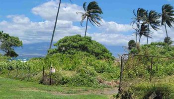 146 Lower Waiehu Beach Rd  Wailuku, Hi vacant land for sale - photo 4 of 7