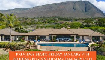 147  Haniu St Launiupoko, Lahaina home - photo 2 of 35