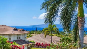 147  Hoohale St Kilohana Ridge, Kihei home - photo 3 of 50