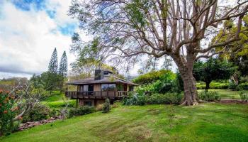 1470  Naalae Rd Lower Kula, Kula/Ulupalakua/Kanaio home - photo 2 of 30