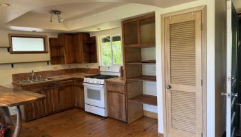 1490  Kokomo Rd , Haiku home - photo 2 of 19