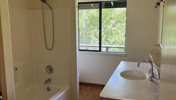 1490  Kokomo Rd , Haiku home - photo 6 of 19