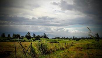 15 Kaluanui Rd LOT 1- Makawao, Hi vacant land for sale - photo 3 of 17