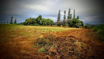 15 Kaluanui Rd LOT 1- Makawao, Hi 96768 vacant land - photo 4 of 17 15 Kaluanui Rd LOT 1- Makawao, Hi 96768 vacant land - photo 4 of 17