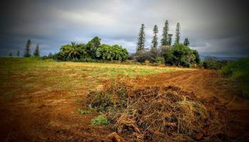 15 Kaluanui Rd LOT 1- Makawao, Hi vacant land for sale - photo 4 of 17