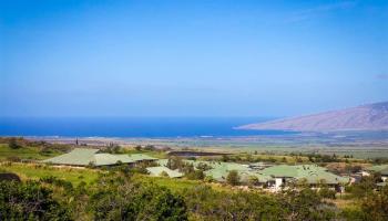 15 Ohia Lehua Pl  Makawao, Hi vacant land for sale - photo 3 of 16