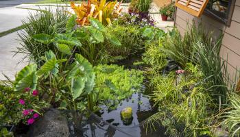 15  Uau Pl Kulamanu, Kula/Ulupalakua/Kanaio home - photo 4 of 40