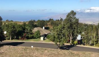15 Uau Pl Lot 27 Kula, Hi 96790 vacant land - photo 3 of 11 15 Uau Pl Lot 27 Kula, Hi 96790 vacant land - photo 3 of 11