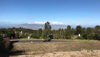 15 Uau Pl Lot 27 Kula, Hi 96790 vacant land - photo 5 of 11
