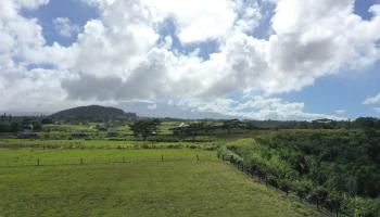 150 Auwaha St Lot 30A Haiku, Hi vacant land for sale - photo 4 of 14