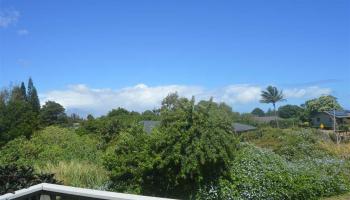 150 Mokuahi St , Makawao/Olinda/Haliimaile home - photo 5 of 20