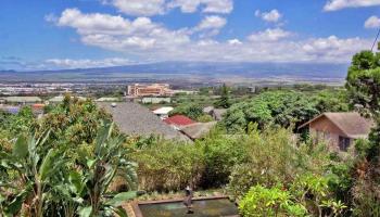 150 Naniloa Dr Fleming Tract, Wailuku home - photo 5 of 30
