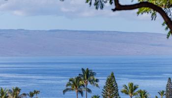 Kaanapali Plantation condo # 18, Lahaina, Hawaii - photo 4 of 49