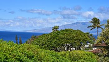 Photo of Kaanapali Plantation