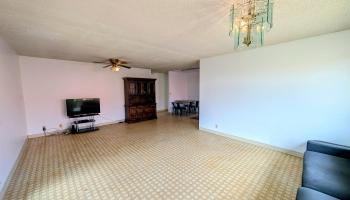 1503  Pakali St , Lanai home - photo 4 of 10
