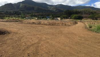 1503 Piihana Rd  Wailuku, Hi vacant land for sale - photo 3 of 4