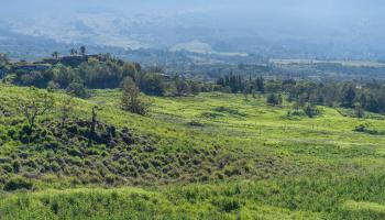 151 Kula Io Rd  Kula, Hi vacant land for sale - photo 6 of 30