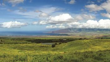 151 KULA I'O Rd Lot #4 Kula, Hi 96790 vacant land - photo 3 of 26 151 KULA I'O Rd Lot #4 Kula, Hi 96790 vacant land - photo 3 of 26