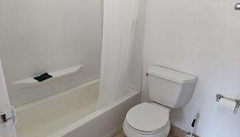 1525  Pakali Pl , Lanai home - photo 6 of 17