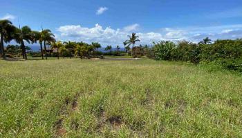 153 EKE Pl  Lahaina, Hi vacant land for sale - photo 6 of 6