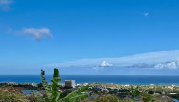 153  Pua Kalaunu Loop Kehalani, Wailuku home - photo 2 of 36