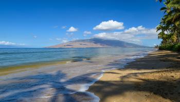 1536  Halama St Halama Street, Kihei home - photo 5 of 44