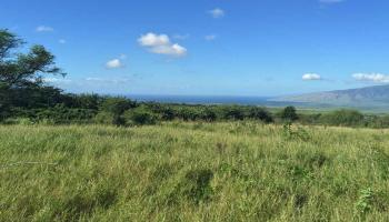 154 Hoomaikai Pl Lot 4 Kula, Hi vacant land for sale - photo 3 of 10