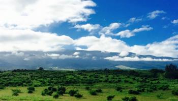 154 Hoomaikai Pl Lot 4 Kula, Hi 96790 vacant land - photo 5 of 10