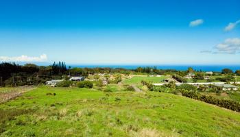 1545 Kaupakalua Rd Haiku, Hi 96708 vacant land - photo 1 of 30 1545 Kaupakalua Rd Haiku, Hi 96708 vacant land - photo 1 of 30